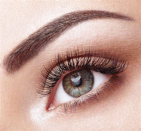 What is powder brows - Powder Brows is an avenue of permanent make-up used to make brows look more distinct and full. Powder brows achieve the look as if you applied powder directly to the brows to have a more filled in …